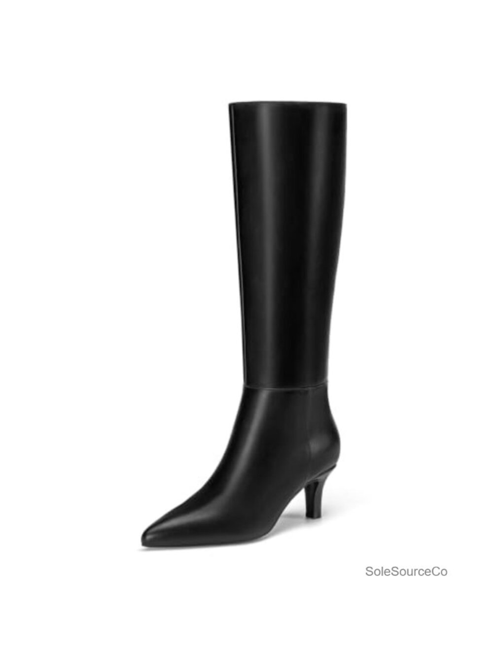 Knee High Boots Women Kitten Heel Tall Fall Boots with Side Zipper Pointed Toe